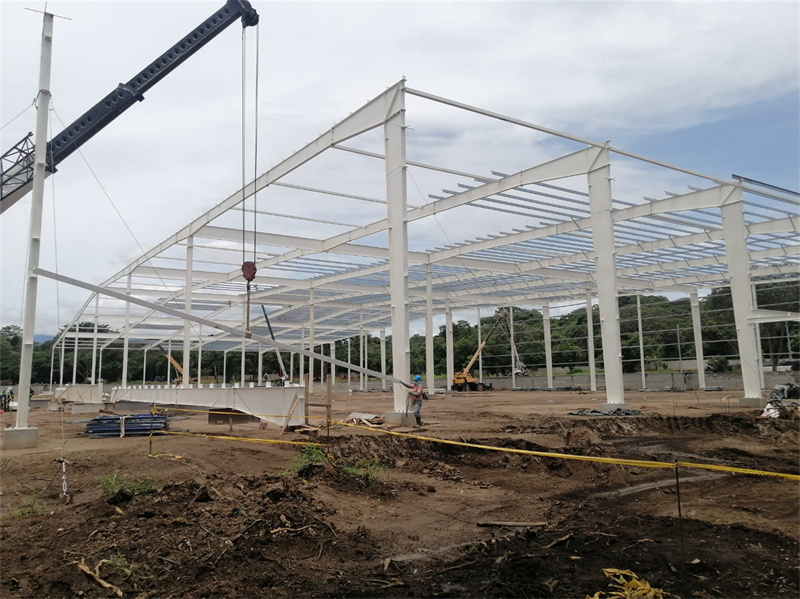 Steel-Building-Warehouse-Industrial-Park